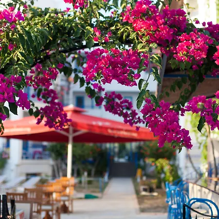 One Day Ξενοδοχείο 3*