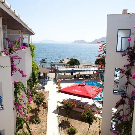 One Day Ξενοδοχείο Turgutreis