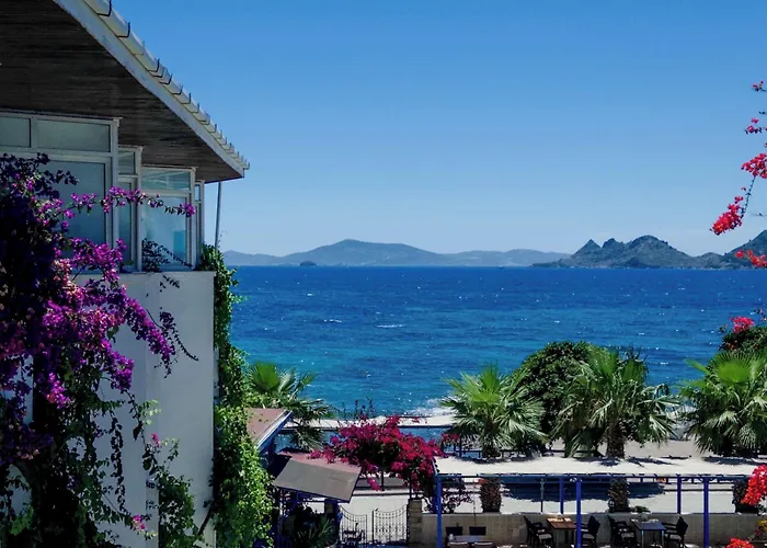 One Day Turgutreis