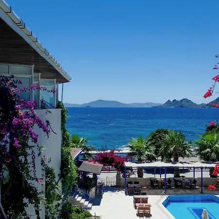 One Day Turgutreis