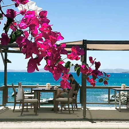 One Day 3* Turgutreis