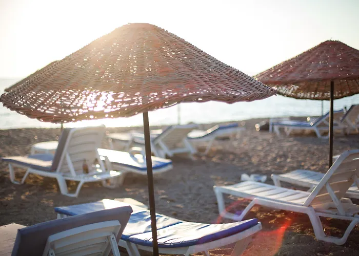 One Day Turgutreis